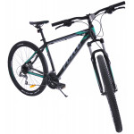 Horský Bicykel Warrior 3.0 29" čierna / sivá / lesklá zelená